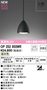 画像: オーデリック OP252955WR(ランプ別梱) ペンダントライト 非調光 LEDランプ 温白色 高演色LED フレンジタイプ 鉄黒色