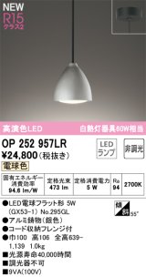 画像: オーデリック OP252957LR(ランプ別梱) ペンダントライト 非調光 LEDランプ 電球色 高演色LED フレンジタイプ 銀色