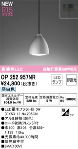 画像: オーデリック OP252957NR(ランプ別梱) ペンダントライト 非調光 LEDランプ 昼白色 高演色LED フレンジタイプ 銀色