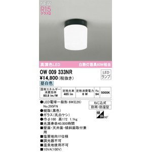 画像: オーデリック OW009333NR(ランプ別梱) エクステリア ポーチライト LEDランプ 昼白色 高演色LED 防雨・防湿型 黒色