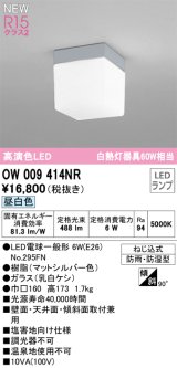 画像: オーデリック OW009414NR(ランプ別梱) エクステリア ポーチライト LEDランプ 昼白色 高演色LED 防雨・防湿型 マットシルバー