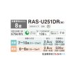 画像2: 日本キヤリア/旧東芝 RAS-U251DR(W) エアコン 8畳 ルームエアコン U-DRシリーズ 大清快 単相100V 8畳程度 ホワイト (2)