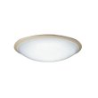画像1: 大光電機(DAIKO) DCL-42089 シーリング 6畳 調色調光 LED内臓 リモコン付 ホワイトアッシュ色 (1)