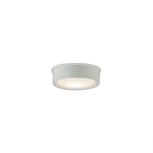 画像: 大光電機(DAIKO) DWP-42190Y アウトドアライト 軒下シーリング 非調光 電球色 LED内臓 防雨形 ホワイト