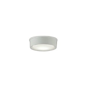 画像: 大光電機(DAIKO) DWP-42191A アウトドアライト 軒下シーリング 非調光 温白色 LED内臓 防雨形 ホワイト