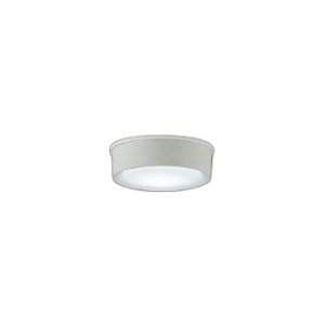 画像: 大光電機(DAIKO) DWP-42191W アウトドアライト 軒下シーリング 非調光 昼白色 LED内臓 防雨形 ホワイト