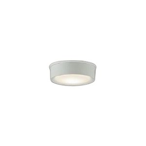 画像: 大光電機(DAIKO) DWP-42191Y アウトドアライト 軒下シーリング 非調光 電球色 LED内臓 防雨形 ホワイト