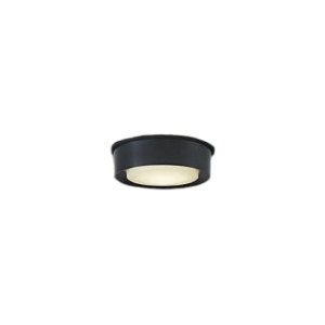 画像: 大光電機(DAIKO) DWP-42194Y アウトドアライト 軒下シーリング 非調光 電球色 LED内臓 防雨形 ブラック