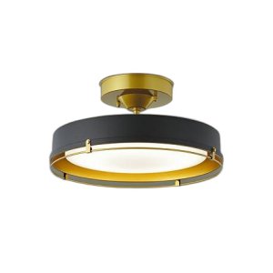 画像: 大光電機(DAIKO) DCL-42067 シーリング 12畳 調色調光 LED内臓 リモコン付 ブラック