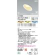 画像2: コイズミ照明 AD7327W99 ダウンライト φ100 Fit調色・光色切替 パネル 高気密SB 傾斜 ウォールウォッシャー 高演色R+ 防雨・防湿型 ファインホワイト (2)