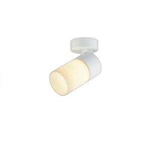 画像: コイズミ照明 AS57369 スポットライト 非調光 電球色 フランジタイプ 高演色R+ マットファインホワイト
