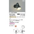 画像2: コイズミ照明 AU57435 エクステリア スポットライト 非調光 電球色 高演色R+ 防雨型 ブラック (2)