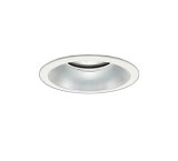 画像: 大光電機(DAIKO) LZD-9009WWB4 ダウンライト 埋込穴φ150 調光(調光器別売) 昼白色 LED ホワイト 受注生産品[§]