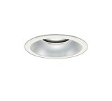 画像: 大光電機(DAIKO) LZD-9011WWB4 ダウンライト 埋込穴φ150 調光(調光器別売) 昼白色 LED ホワイト 受注生産品[§]