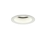 画像: 大光電機(DAIKO) LZD-9013YWB4 ダウンライト 埋込穴φ125 調光(調光器別売) 電球色 LED ホワイト 受注生産品[§]