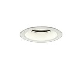 画像: 大光電機(DAIKO) LZD-9015WWB3 ダウンライト 埋込穴φ125 非調光 昼白色 LED ホワイト 受注生産品[§]