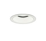 画像: 大光電機(DAIKO) LZD-9016WWW4 ダウンライト 埋込穴φ150 調光(調光器別売) 昼白色 LED ホワイト 受注生産品[§]