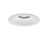 画像: 大光電機(DAIKO) LZD-9073WWB3 ダウンライト 埋込穴φ175 非調光 昼白色 LED リニューアル用 ホワイト 受注生産品[§]