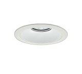 画像: 大光電機(DAIKO) LZD-9073WWB8 ダウンライト 埋込穴φ175 無線 調光(調光器別売) 昼白色 LED リニューアル用 ホワイト 受注生産品[§]