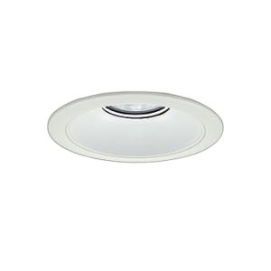 画像: 大光電機(DAIKO) LZD-9073WWB8 ダウンライト 埋込穴φ175 無線 調光(調光器別売) 昼白色 LED リニューアル用 ホワイト 受注生産品[§]