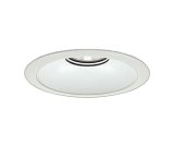 画像: 大光電機(DAIKO) LZD-9075NWB3 ダウンライト 埋込穴φ200 非調光 白色 LED リニューアル用 ホワイト 受注生産品[§]
