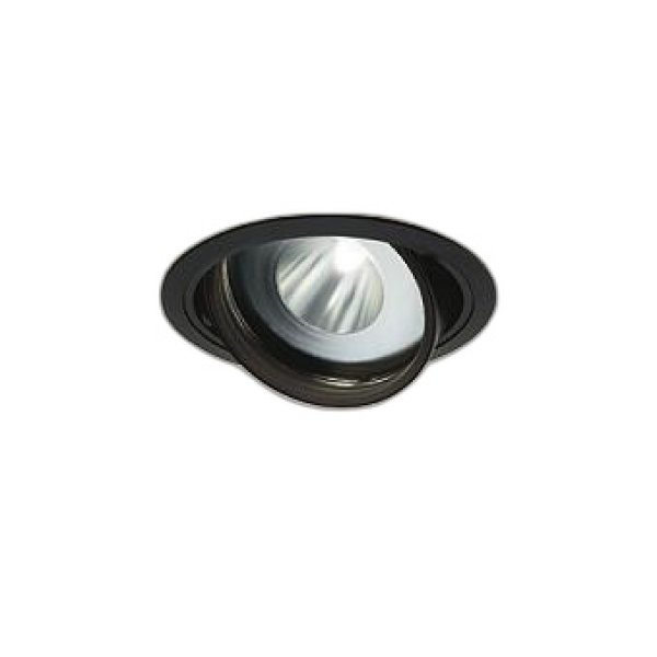 画像1: 大光電機(DAIKO) LZD-93771HBM ダウンライト φ埋込穴125 電源別売 高彩色 LED ユニバーサル 生鮮食品用 ブラック (1)