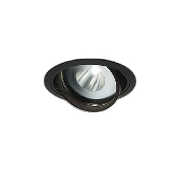 画像1: 大光電機(DAIKO) LZD-93771PBM ダウンライト φ埋込穴125 電源別売 高彩色 LED ユニバーサル 生鮮食品用 ブラック (1)