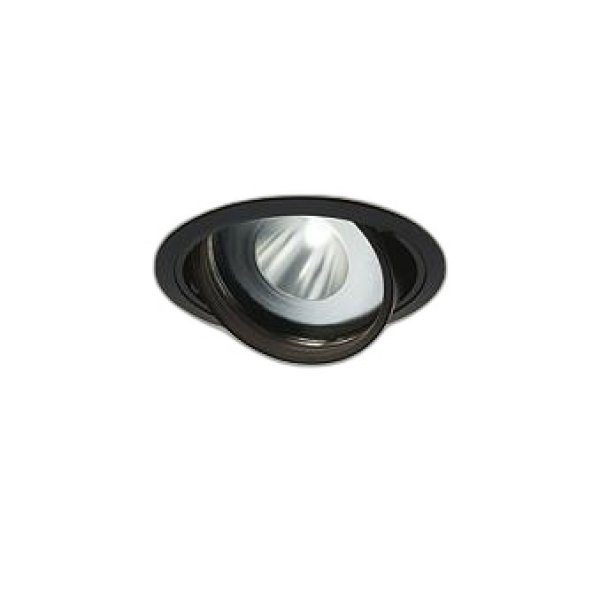 画像1: 大光電機(DAIKO) LZD-93772HBW ダウンライト φ埋込穴125 電源別売 高彩色 LED ユニバーサル 生鮮食品用 ブラック (1)