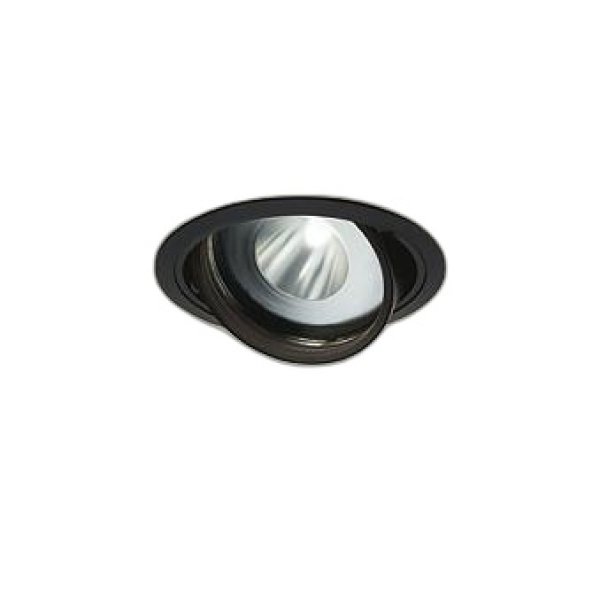 画像1: 大光電機(DAIKO) LZD-93772MBM ダウンライト φ埋込穴125 電源別売 高彩色 LED ユニバーサル 生鮮食品用 ブラック (1)