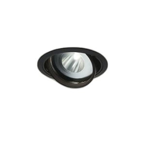 画像: 大光電機(DAIKO) LZD-93772SBM ダウンライト φ埋込穴125 電源別売 高彩色 LED ユニバーサル 生鮮食品用 ブラック
