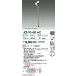 画像2: 大光電機(DAIKO) LZS-92482AC スポットライト 電源別売 温白色 LED クローム (2)