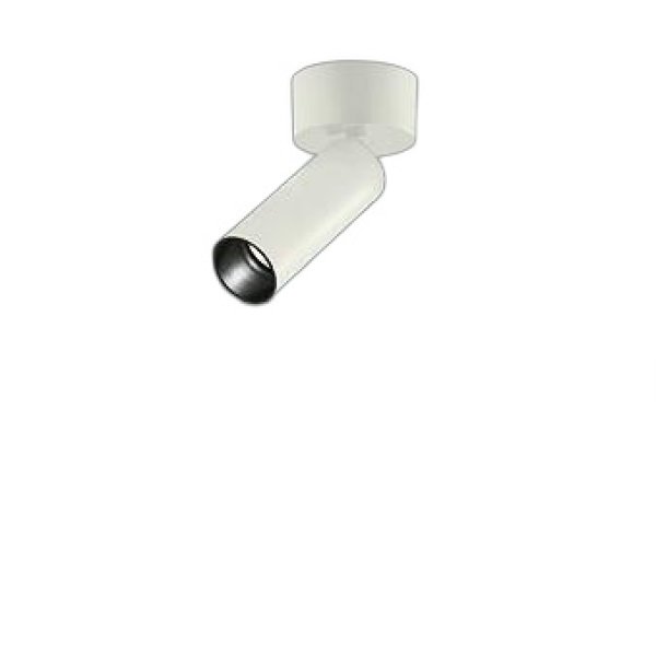 画像1: 大光電機(DAIKO) LZS-93420XW スポットライト 本体のみ ランプ別売 フランジタイプ ホワイト (1)