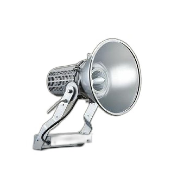 画像1: 大光電機(DAIKO) LZW-92644WSF アウトドア 投光器 非調光 電源内蔵 昼白色 LED 防雨形 (1)