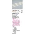 画像2: 大光電機(DAIKO) LZW-93205LTW 間接照明 L620タイプ 電源別売 電球色 LED 直線タイプ ドットレス 防雨・防湿形 (2)
