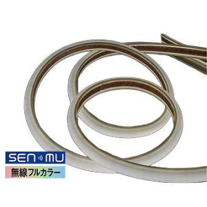 画像: 大光電機(DAIKO) LZY-93396FT 間接照明 L3600タイプ 無線 調色調光(調光器別売) 電源内蔵 LED テープライト 防雨・防湿形