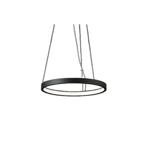 画像1: 大光電機(DAIKO) DPN-42329YG ペンダント 調光(調光器別売) 電球色 LED内蔵 フランジタイプ ブラック (1)