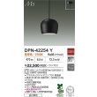 画像2: 大光電機(DAIKO) DPN-42254Y ペンダント 非調光 電球色 LED ランプ付 フランジタイプ ブラック (2)