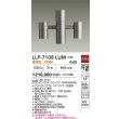画像2: 大光電機(DAIKO) LLP-7108LUM アウトドアライト ポールスポットライト 非調光 電球色 灯具本体 2灯用 LED内蔵 ポール別売 防雨・防湿型 ステンカラー (2)