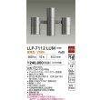 画像2: 大光電機(DAIKO) LLP-7112LUM アウトドアライト ポールスポットライト 非調光 電球色 灯具本体 2灯用 LED内蔵 ポール別売 防雨・防湿型 ステンカラー (2)