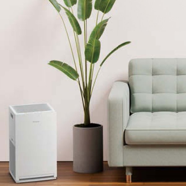 画像3: 『在庫あり』 ダイキン ストリーマ空気清浄機 ACM556A-W ホワイト 〜25畳 55タイプ TAFUフィルター 花粉対策 コンパクト 2026年モデル 住設モデル ☆♭ (3)