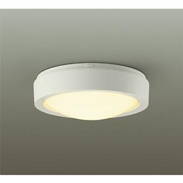 画像1: 大光電機(DAIKO) DEG-42521Y 防災照明 非常灯 非調光 電球色 LED内蔵 防雨形 ホワイト (1)