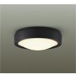 画像1: 大光電機(DAIKO) DEG-42522Y 防災照明 非常灯 非調光 電球色 LED内蔵 防雨形 ブラック (1)