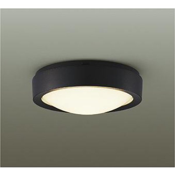 画像1: 大光電機(DAIKO) DEG-42522Y 防災照明 非常灯 非調光 電球色 LED内蔵 防雨形 ブラック (1)