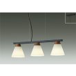 画像1: 大光電機(DAIKO) DPN-41978YG ペンダント 調光(調光器別売) 電球色 LED ランプ付 フランジタイプ ウォールナット (1)