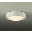 画像1: 大光電機(DAIKO) DWP-42519Y アウトドアライト 軒下シーリング 非調光 電球色 LED内蔵 防雨形 ホワイト (1)