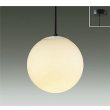 画像1: [9月発売] 大光電機(DAIKO) DPN-42229YE ペンダント 非調光 電球色 LED ランプ付 フランジタイプ (1)