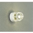 画像1: 大光電機(DAIKO) DWP-39156YG アウトドアライト ポーチ灯 調光(調光器別売) 電球色 LED ランプ付 防雨形 ホワイト (1)