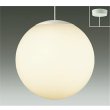 画像1: 大光電機(DAIKO) DPN-42691Y ペンダント 非調光 電球色 LED ランプ付 フランジタイプ ホワイト (1)