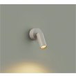 画像1: 大光電機(DAIKO) DBK-42770YG ブラケット 調光(調光器別売) 電球色 LED ランプ付 ペールグレー (1)
