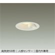 画像1: 大光電機(DAIKO) DDL-6274YW ダウンライト 埋込穴φ100 非調光 電球色 LED内蔵 高気密SB形 人感センサー ON/OFFタイプIII 防雨形 ホワイト (1)